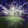Pinhole